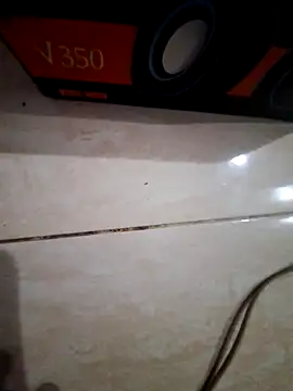 Cicie88 online show from 21, 4, 2026