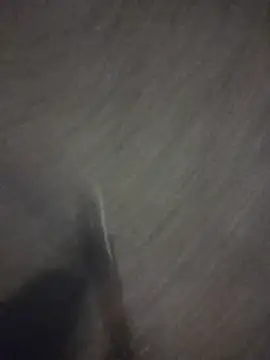 marcoboss online show from 16, 4, 2026