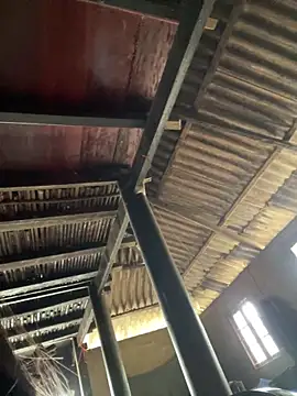 Nika-be online show from 3, 3, 2026