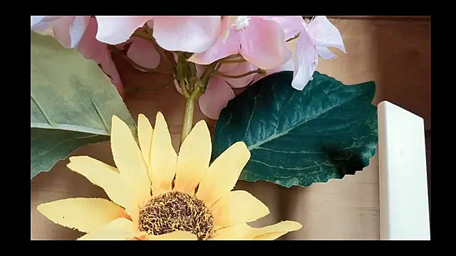 Snapshot of vickvalencia2 chatting on 4, 5, 2026 vickvalencia2 online show from 4, 5, 2026