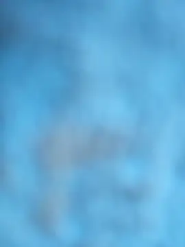 layanehot online show from 21, 12, 2025