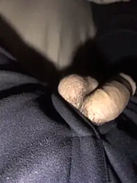 Snapshot of lion_kun chatting on 15, 12, 2025 lion kun online show from 15, 12, 2025