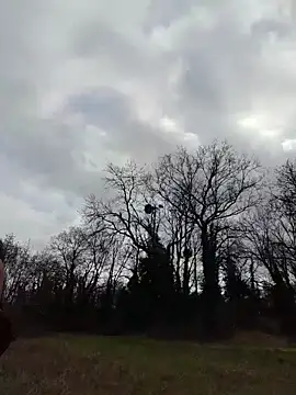 Sacha Scorp online show from 7, 2, 2026