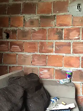 Geelalmeida online show from 2, 4, 2026