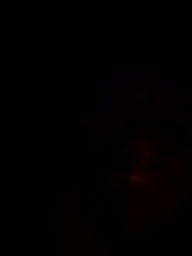 Snapshot of mikeeddy1517 chatting on 17, 12, 2025 mikeeddy1517 online show from 17, 12, 2025