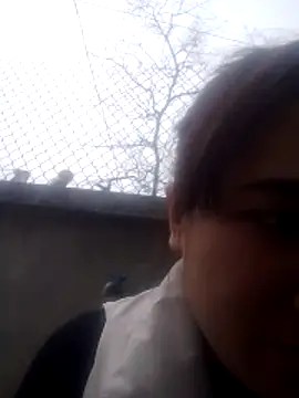 Belinda-686 online show from 12, 2, 2026