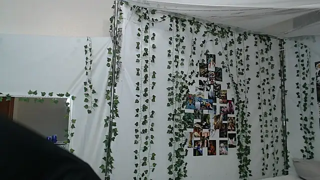 DeerMiracle online show from 9, 1, 2026