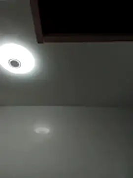 zeur online show from 15, 1, 2026