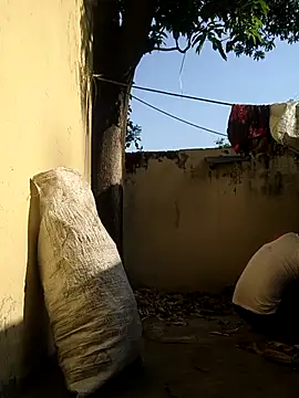 novio-de-la-tarde online show from 5, 4, 2026