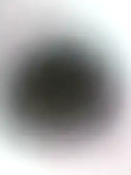 Snapshot of novio-de-la-tarde chatting on 24, 4, 2026 novio-de-la-tarde online show from 24, 4, 2026