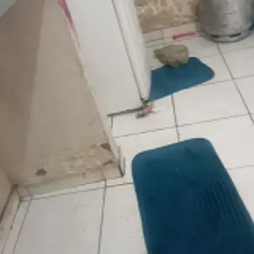 xxbucetudaxxx online show from 20, 12, 2025