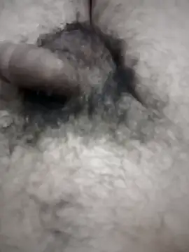 EchoedPerusing online show from 26, 3, 2026