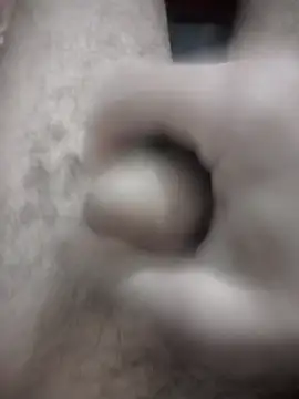 EchoedPerusing online show from 26, 4, 2026