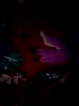 ramya sri online show from 21, 2, 2026