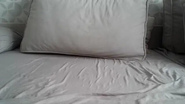 Snapshot of apollo81 chatting on 18, 2, 2026 apollo81 online show from 18, 2, 2026