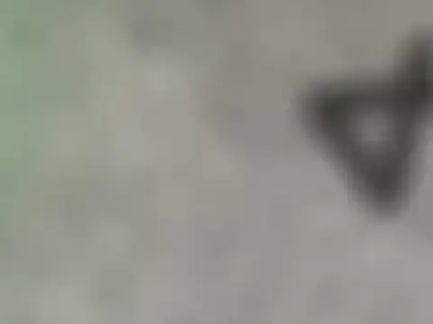 dearornge online show from 17, 3, 2026