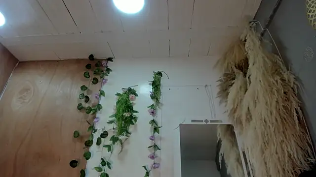 Alice randyy online show from 10, 2, 2026