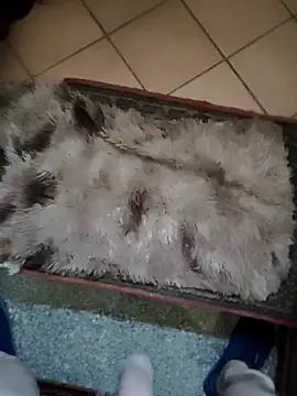 TAMI61 online show from 25, 3, 2026