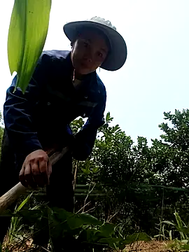 vanvan005 online show from 8, 4, 2026