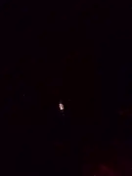 chocolotto09 online show from 16, 1, 2026