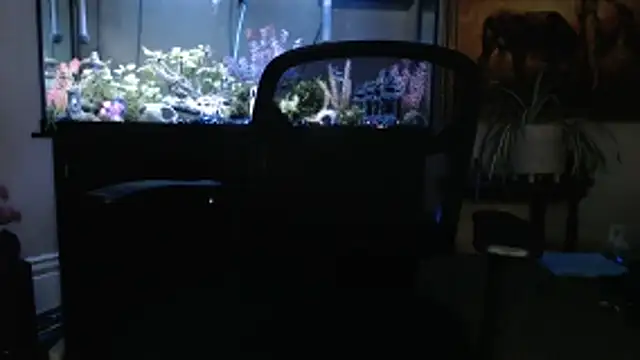 EspanolVato online show from 5, 3, 2026