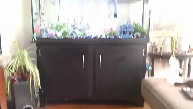 EspanolVato online show from 15, 4, 2026