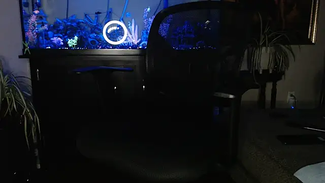 EspanolVato online show from 17, 4, 2026