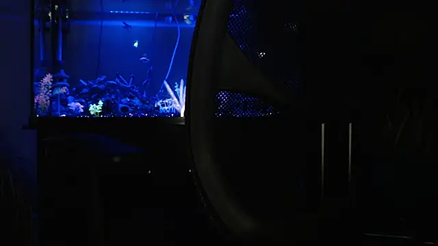 Snapshot of EspanolVato chatting on 18, 4, 2026 EspanolVato online show from 18, 4, 2026