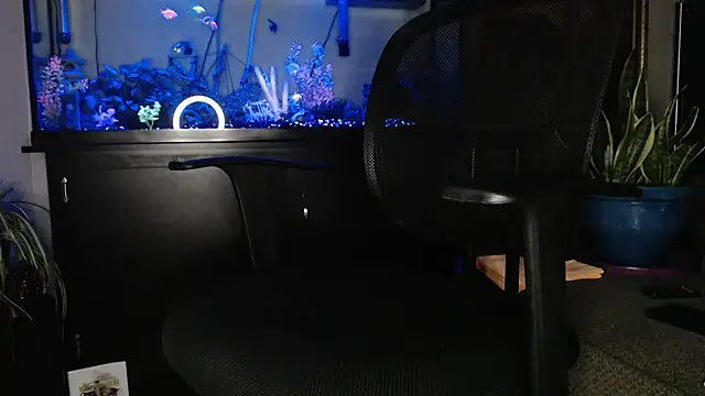 Snapshot of EspanolVato chatting on 6, 5, 2026 EspanolVato online show from 6, 5, 2026