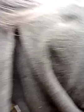 him220 online show from 23, 2, 2026