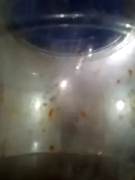 him220 online show from 12, 3, 2026