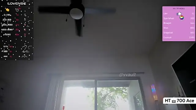 Vesagal online show from 16, 4, 2026