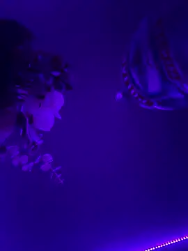 inconito-sex online show from 10, 1, 2026