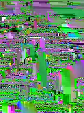 Nami-777 online show from 10, 1, 2026