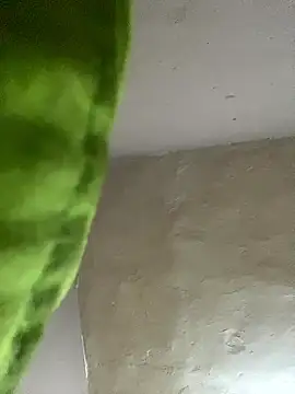 kwandero1234 online show from 12, 1, 2026