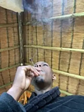 kwandero1234 online show from 14, 1, 2026