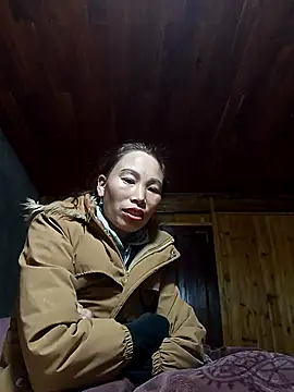 Nllpvp online show from 7, 1, 2026