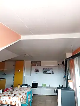 colosone online show from 1, 3, 2025