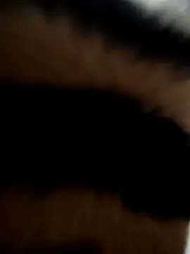 Mickey 9 online show from 13, 1, 2026