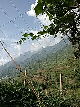 Snapshot of yu--yo chatting on 16, 5, 2026 yu--yo online show from 16, 5, 2026