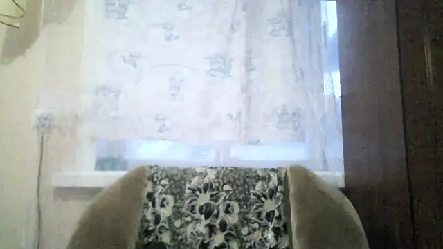 Norma Wall online show from 3, 4, 2026