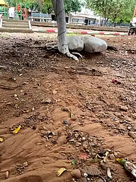 lunarous98 online show from 13, 1, 2026