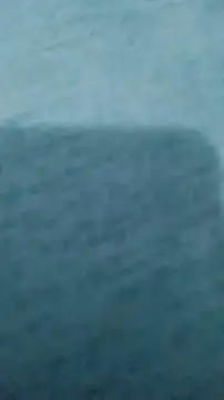 casal1001 online show from 17, 4, 2026