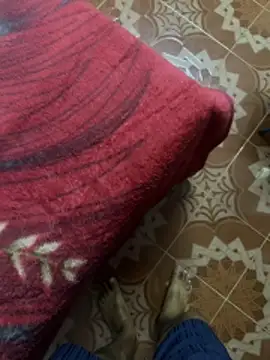 tropicalpied online show from 23, 3, 2026