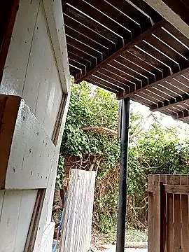 Snapshot of dicklife3485 chatting on 24, 2, 2026 dicklife3485 online show from 24, 2, 2026