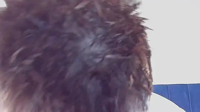 Snapshot of DrakeCarter chatting on 26, 2, 2026 DrakeCarter online show from 26, 2, 2026