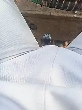 Snapshot of Hot_BoyDick-Telugu chatting on 15, 1, 2026 Hot BoyDick-Telugu online show from 15, 1, 2026