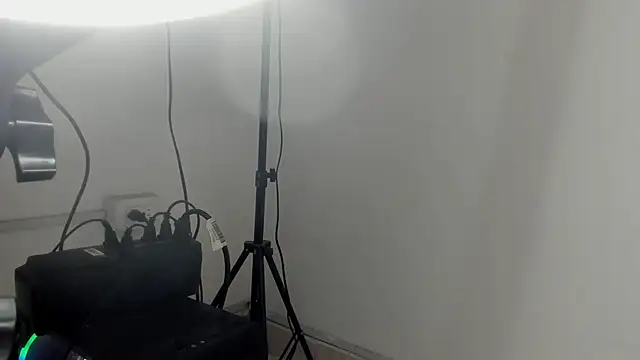 sofia laverde online show from 5, 4, 2026