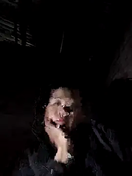 Jooj- online show from 3, 2, 2026