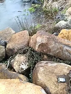 costt2 online show from 18, 1, 2026